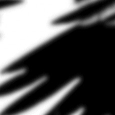 N/UM-RAVENS (LP)