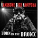 HANDSOME DICK MANITOBA-BORN IN THE BRONX (CD)