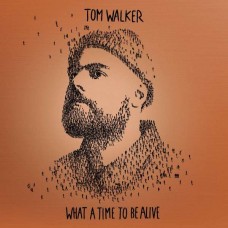 TOM WALKER-WHAT A TIME TO.. -DELUXE- (CD)