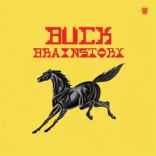 BRAINSTORY-BUCK (CD)