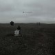 NF-SEARCH (2LP)