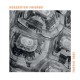 SUGGESTED FRIENDS-TURTLE TAXI (LP)