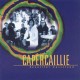 CAPERCAILLIE-BEAUTIFUL WASTELAND (CD)