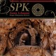 SPK-ZAMIA LEHMANNI (LP)