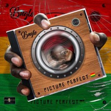 BUGLE-PICTURE PERFECT (2CD)