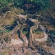 BREMER/MCCOY-UTOPIA (LP)