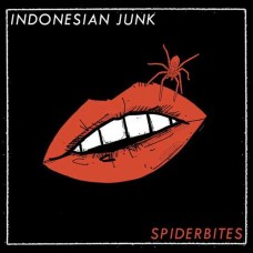 INDONESIAN JUNK-SPIDERBITES (CD)