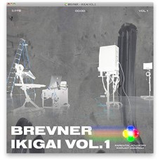 BREVNER-IGAKI VOL.1 (CD)