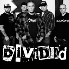DIVIDED-WORLD YOU'RE LIVING IN (LP)