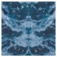 GREAT DIVIDE-WHITE BIRD (LP)