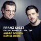ANDRE SCHUEN/DANIEL HEIDE-FRANZ LISZT: PETRARCA.. (CD)