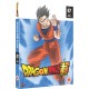 ANIMAÇÃO-DRAGON BALL SUPER: 7 (2DVD)