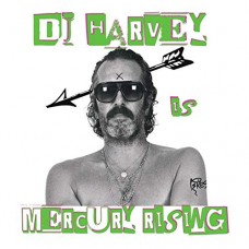 V/A-DJ HARVEY IS THE SOUND.. (2-12")