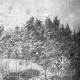 NOCTURNALIA-III: WINTER (CD)