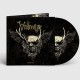 VALLENFYRE-A FRAGILE KING -PD- (LP)