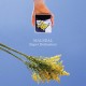 MACSEAL-SUPER.. -DOWNLOAD- (LP)