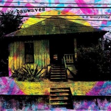 BAUWAVES-U R EVERYTHING -DOWNLOAD- (LP)