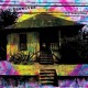 BAUWAVES-U R EVERYTHING -DOWNLOAD- (LP)