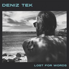 DENIZ TEK-LOST FOR WORDS (LP)