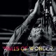 DANIEL DZIDZONU-WALLS OF WONDER (CD)