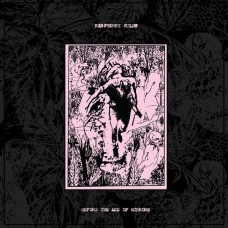 RASPBERRY BULBS-BEFORE THE AGE OF MIRRORS (CD)