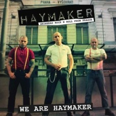 HAYMAKER-WE ARE HAYMAKER (CD)