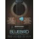 DOCUMENTÁRIO-BLUEBIRD (DVD)