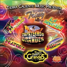 V/A-ZAPATEANDO CON LOS.. (CD)