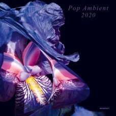 V/A-POP AMBIENT.. -DOWNLOAD- (2LP)