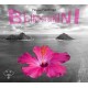 PASCAL PLANTINGA-BLIND ON BIKINI (CD)