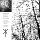 AGALLOCH-WHITE EP-COLOURED/EP/LTD- (LP)