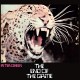 PETER GREEN-END OF THE.. -ANNIVERS- (CD)