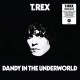 T. REX-DANDY IN THE.. -COLOURED- (LP)