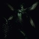B.S.O. (BANDA SONORA ORIGINAL)-RESIDENT EVIL:.. -HQ- (2LP)