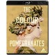 FILME-COLOUR OF POMEGRANATES (2BLU-RAY)
