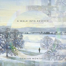 DAMIAN MONTAGU-A WALK INTO REVERIE (CD)