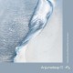 JODY WISTERNOFF & JAMES GRANT-ANJUNADEEP 11 - MIXED.. (2CD)