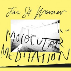 JAN ST. WERNER-MOLOCULAR MEDITATION (LP)