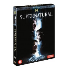 SÉRIES TV-SUPERNATURAL SEASON 14 (5DVD)