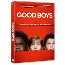 FILME-GOOD BOYS (DVD)