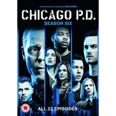 SÉRIES TV-CHICAGO P.D. SEASON 6 (6DVD)