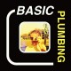 BASIC PLUMBING-KEEPING UP APPEARANCES (CD)