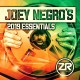 JOEY NEGRO-JOEY NEGRO'S 2019.. (2CD)