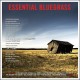 V/A-ESSENTIAL BLUEGRASS -HQ- (LP)