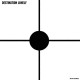DESTINATION LONELY-NERVOUS BREAKDOWN (LP)