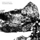 SNEKKESTAD/FERNANDEZ/GUY-SWIFTED TRAVELER (LP)
