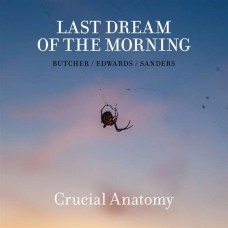 LAST DREAM OF THE MORNING-CRUCIAL ANATOMY (CD)