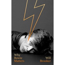 DAVID BOWIE-WHY BOWIE MATTERS (LIVRO)