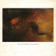 COCTEAU TWINS-VICTORIALAND (LP)