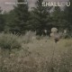 SHALLOU-MAGICAL THINKING -HQ- (LP)